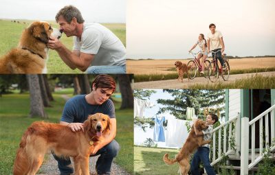 A Dogs Purpose